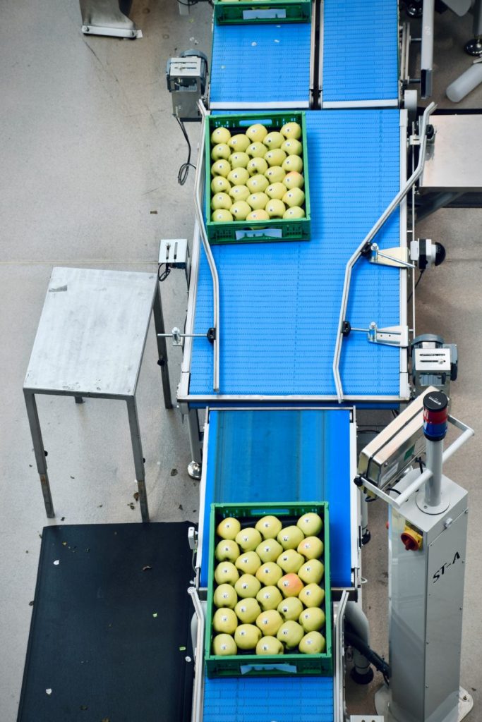 Conveyor belt with green crates