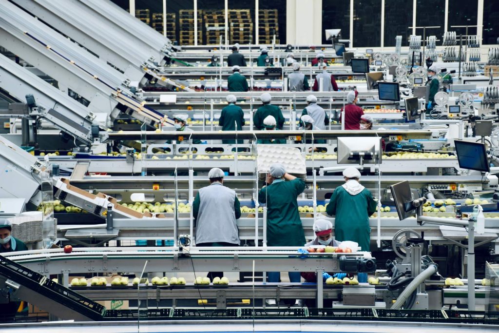 Workers sorting apples in factory