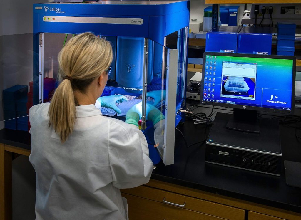 Scientist working in laboratory